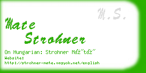 mate strohner business card